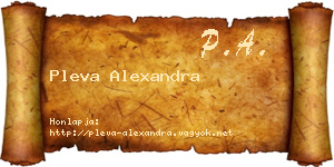 Pleva Alexandra névjegykártya